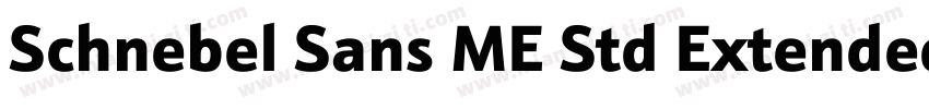 Schnebel Sans ME Std Extended Light字体转换
